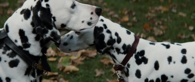 Frame from 101 Dalmatians — standing, dog