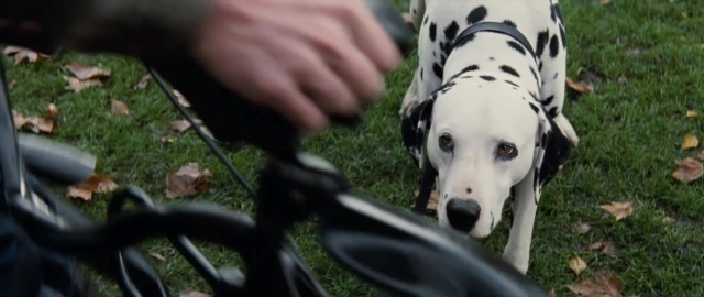 Frame from 101 Dalmatians — standing, dog, hand