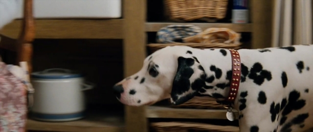 Frame from 101 Dalmatians — standing, room, dog
