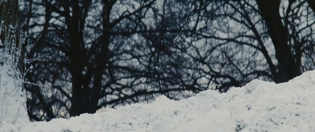 Wide shot frame from 101 Dalmatians — bird, snow