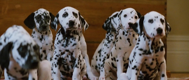 Medium shot frame from 101 Dalmatians — sitting, dog