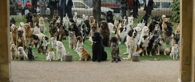 Wide shot frame from 101 Dalmatians — sitting, standing, dog