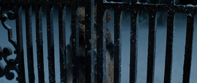 Wide shot frame from 101 Dalmatians — dog, snow, window