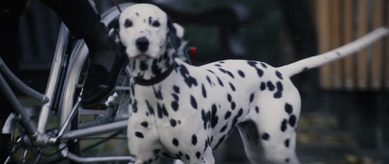 101 Dalmatians (1996), wide, 2.37:1 — film still