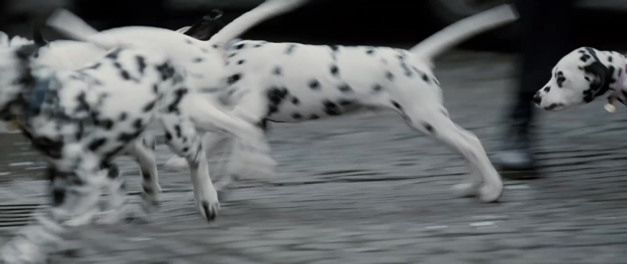 101 Dalmatians (1996), unknown, 2.37:1 — film still