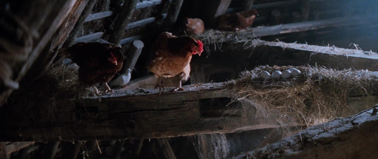 101 Dalmatians (1996), wide, 2.37:1 — film still