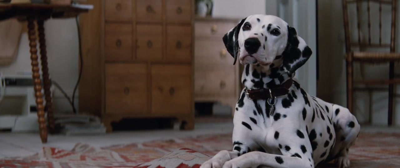 101 Dalmatians (1996), wide, 2.37:1 — film still