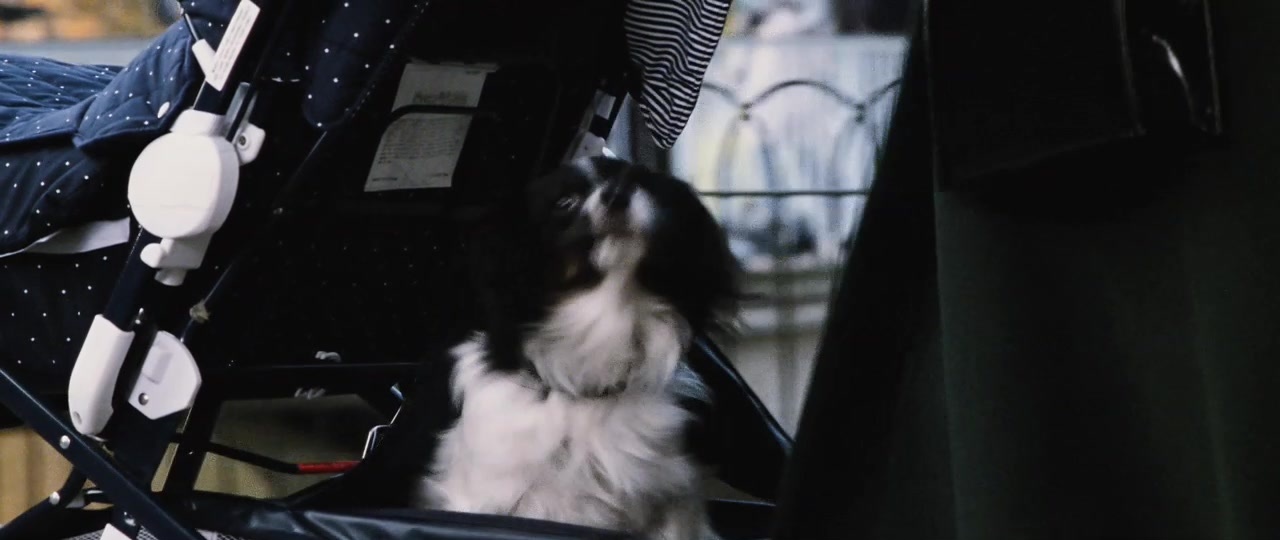 101 Dalmatians (1996), wide, 2.37:1 — film still