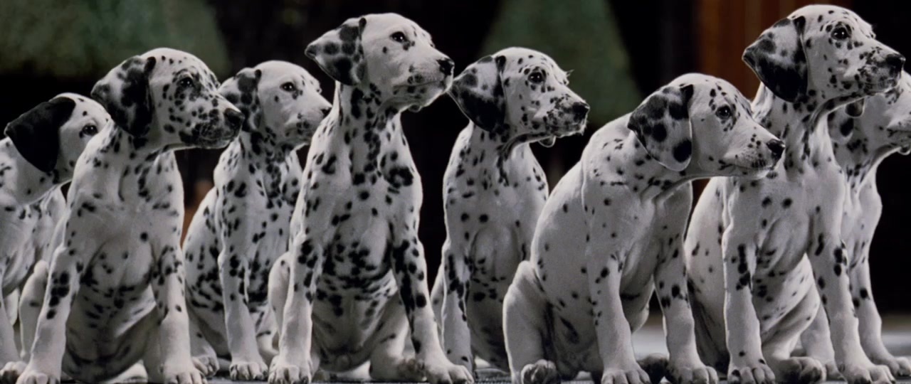 101 Dalmatians (1996), wide, 2.37:1 — film still
