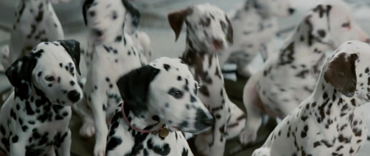 101 Dalmatians (1996), unknown, 2.37:1 — film still