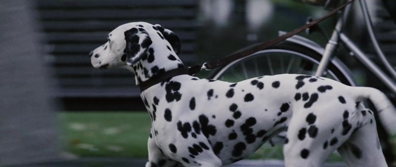 101 Dalmatians (1996), wide, 2.37:1 — film still