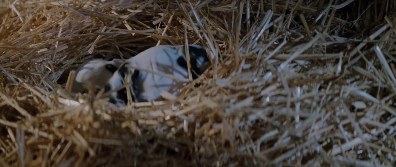 101 Dalmatians (1996), unknown, 2.37:1 — film still