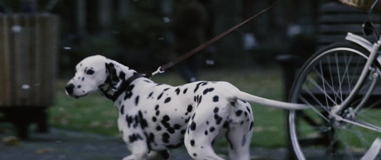 101 Dalmatians (1996), wide, 2.37:1 — film still