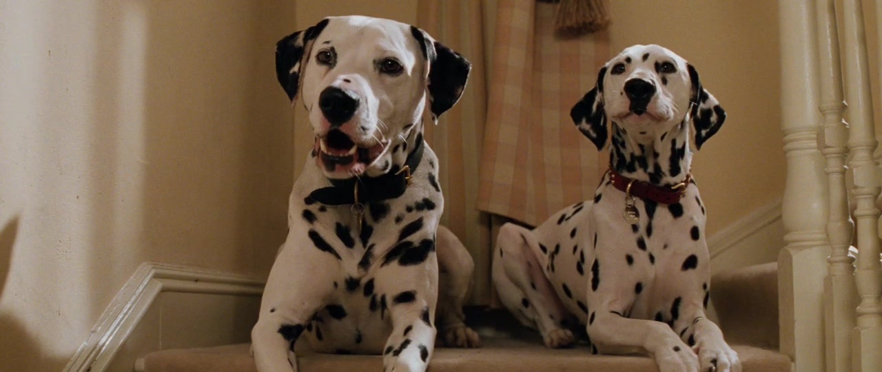 101 Dalmatians (1996), unknown, 2.37:1 — film still