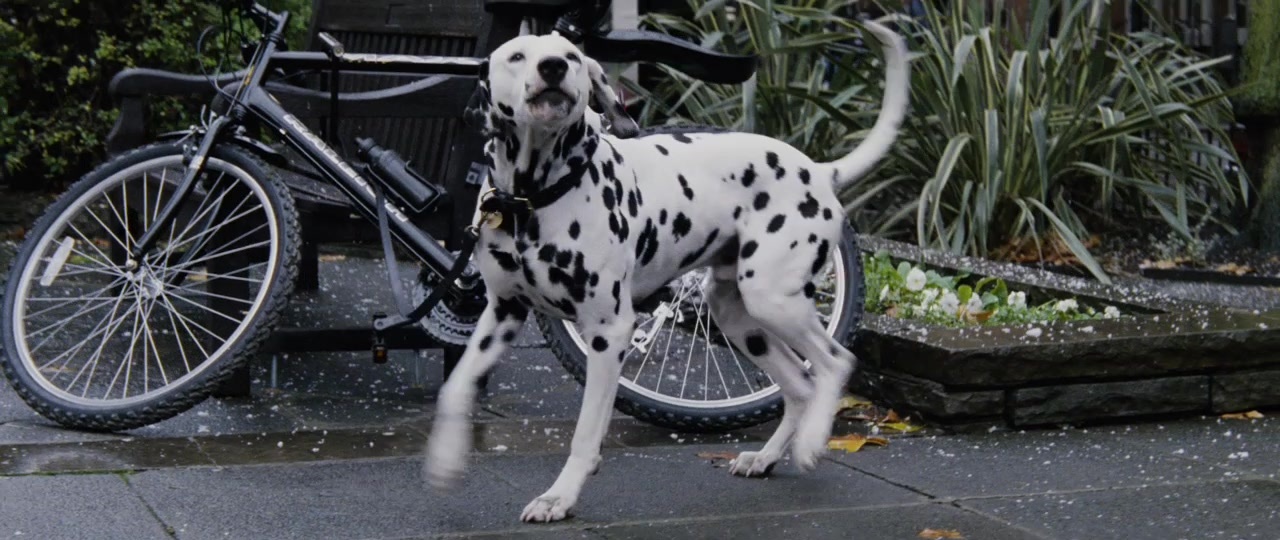 101 Dalmatians (1996), wide, 2.37:1 — film still