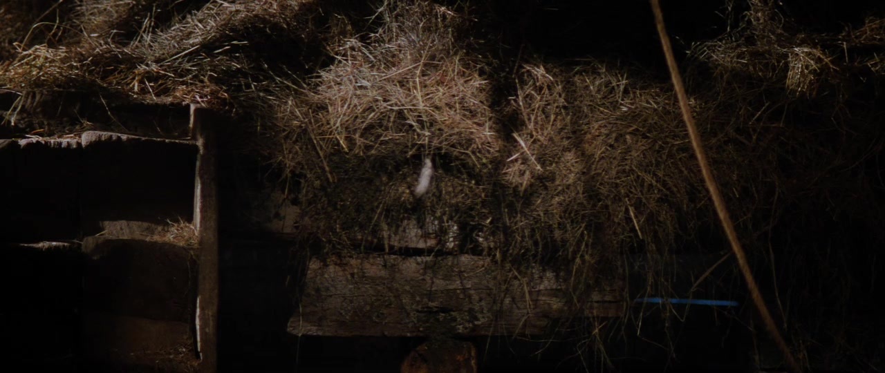 101 Dalmatians (1996), wide, 2.37:1 — film still