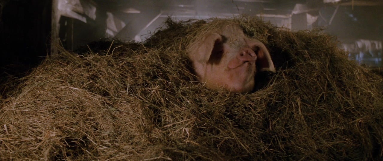 101 Dalmatians (1996), unknown, 2.37:1 — film still