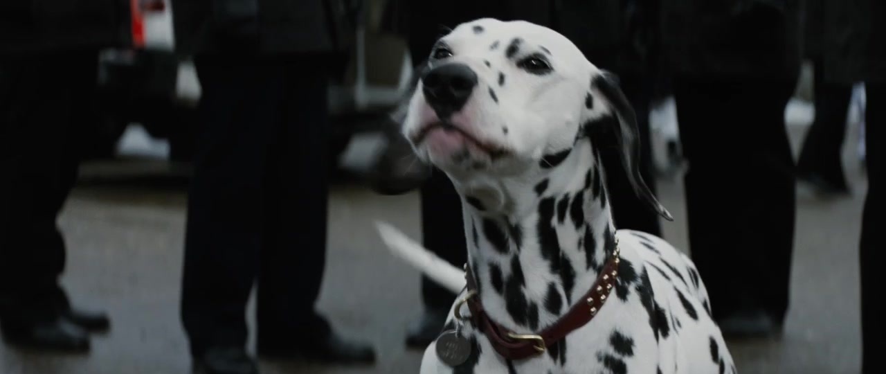 101 Dalmatians (1996), wide, 2.37:1 — film still