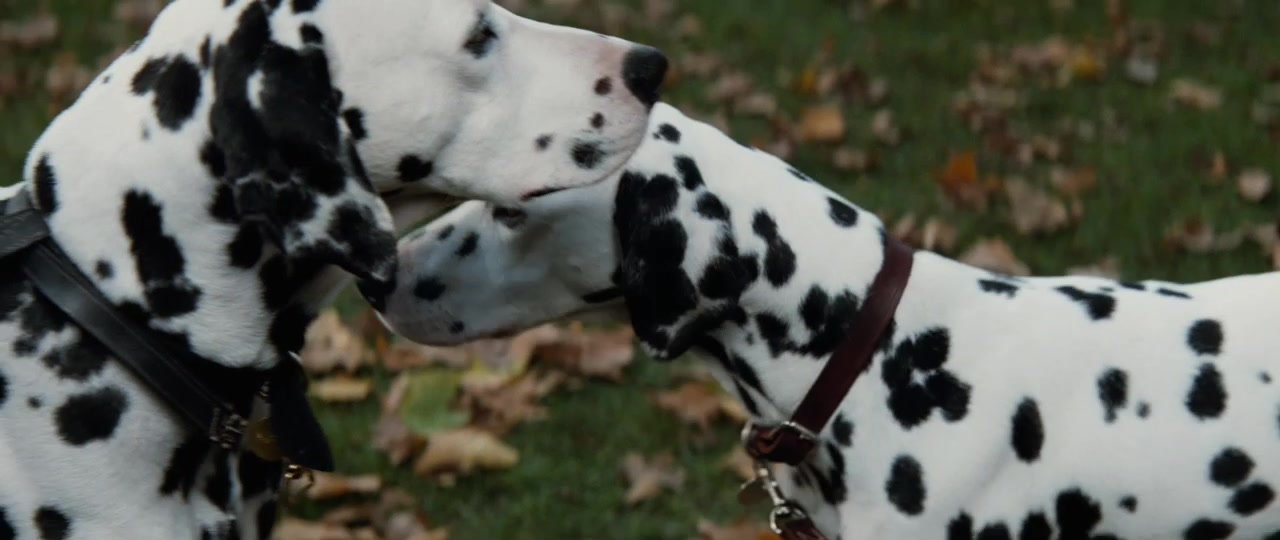 101 Dalmatians (1996), unknown, 2.37:1 — film still