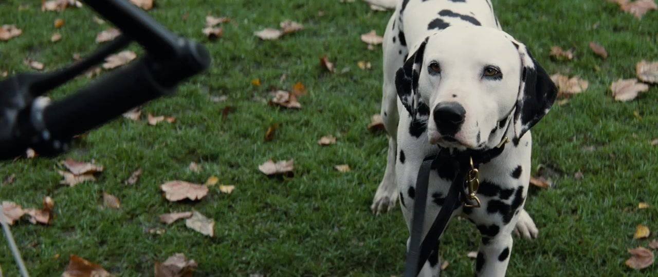 101 Dalmatians (1996), wide, 2.37:1 — film still