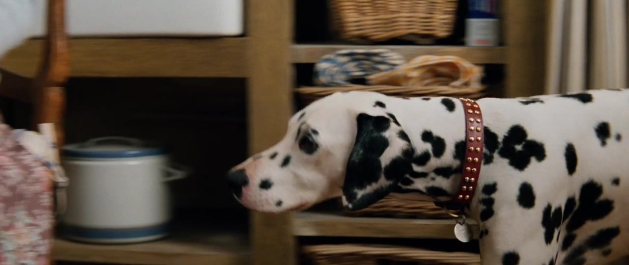 101 Dalmatians (1996), unknown, 2.37:1 — film still
