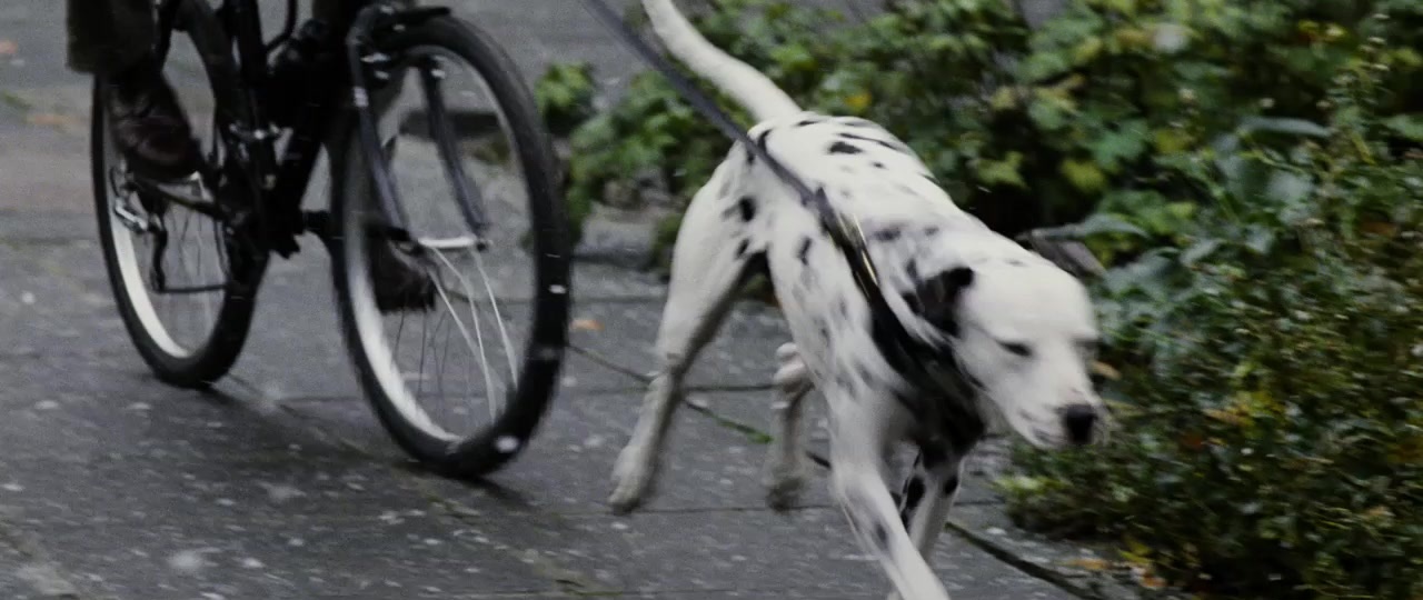 101 Dalmatians (1996), wide, 2.37:1 — film still