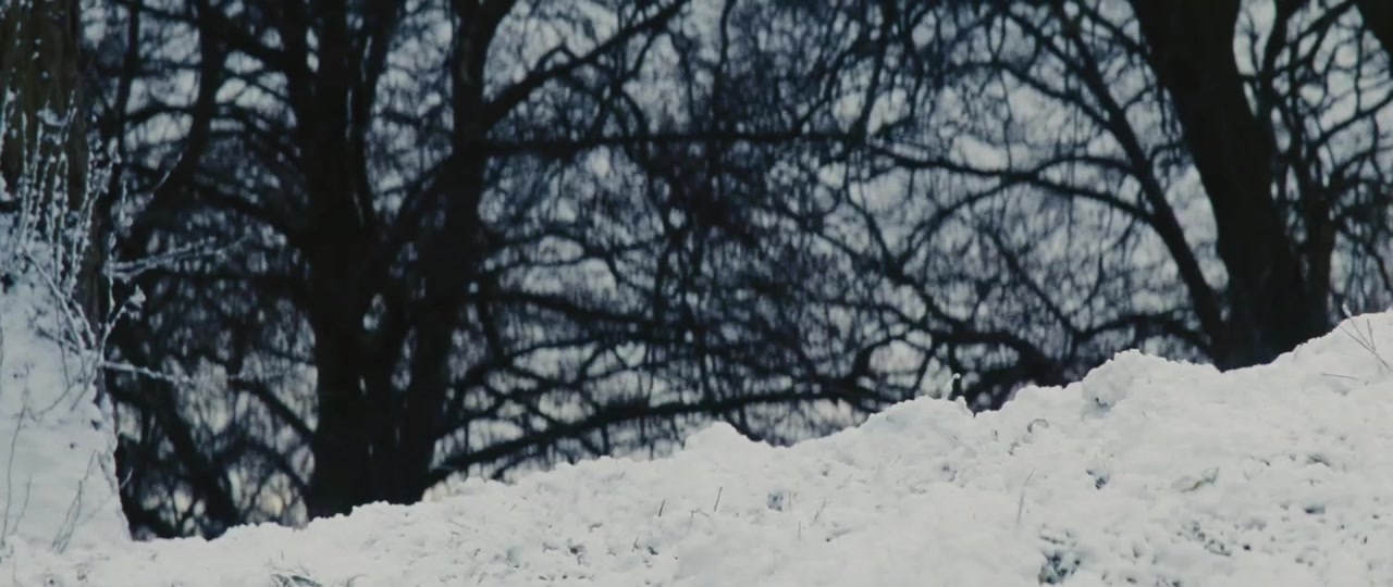 101 Dalmatians (1996), wide, 2.37:1 — film still