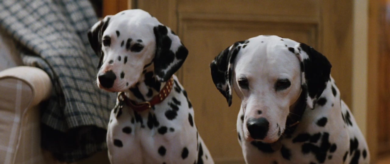 101 Dalmatians (1996), wide, 2.37:1 — film still