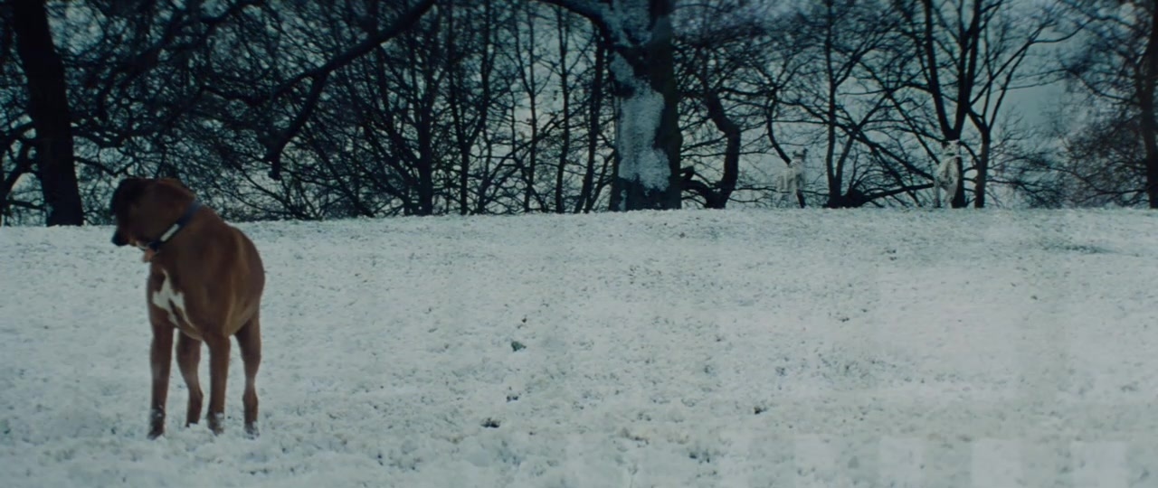 101 Dalmatians (1996), wide, 2.37:1 — film still