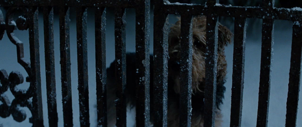 101 Dalmatians (1996), wide, 2.37:1 — film still