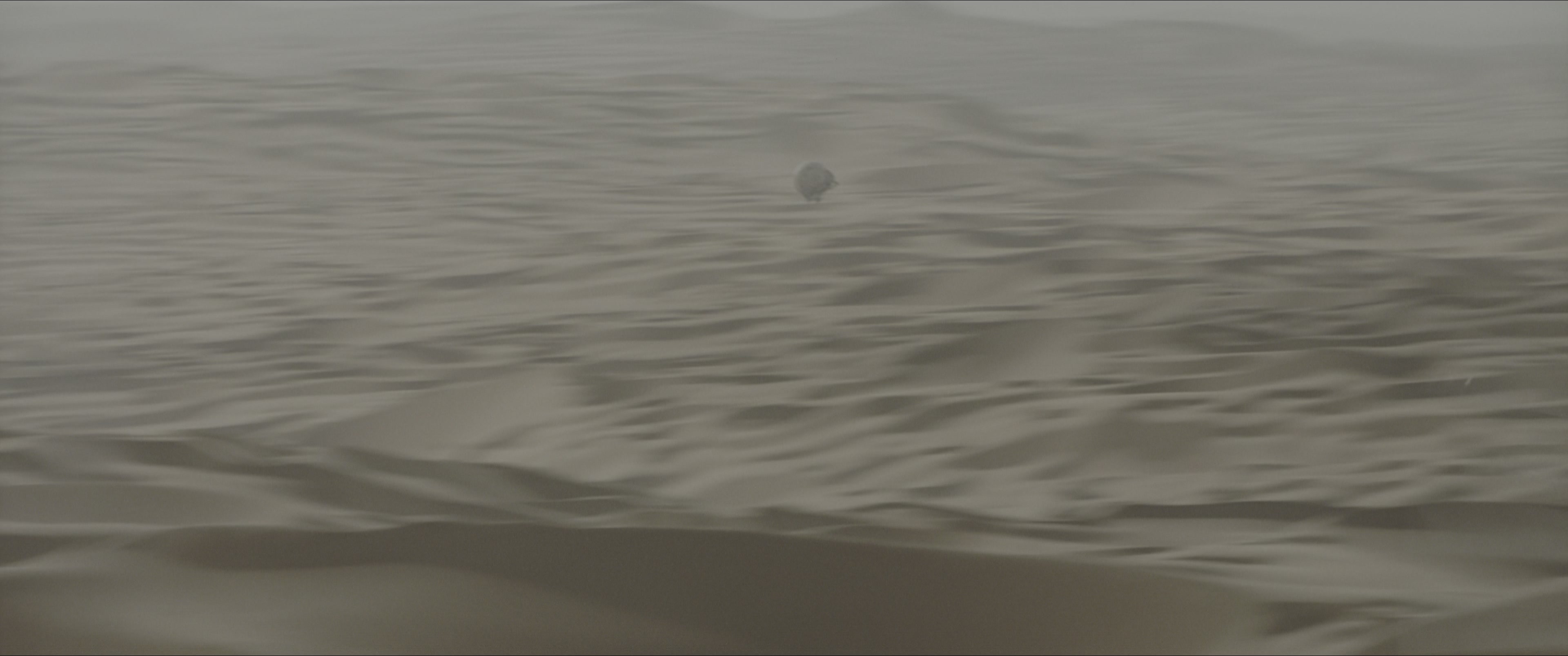 Dune: Part One (2021), unknown, 2.39:1 — film still