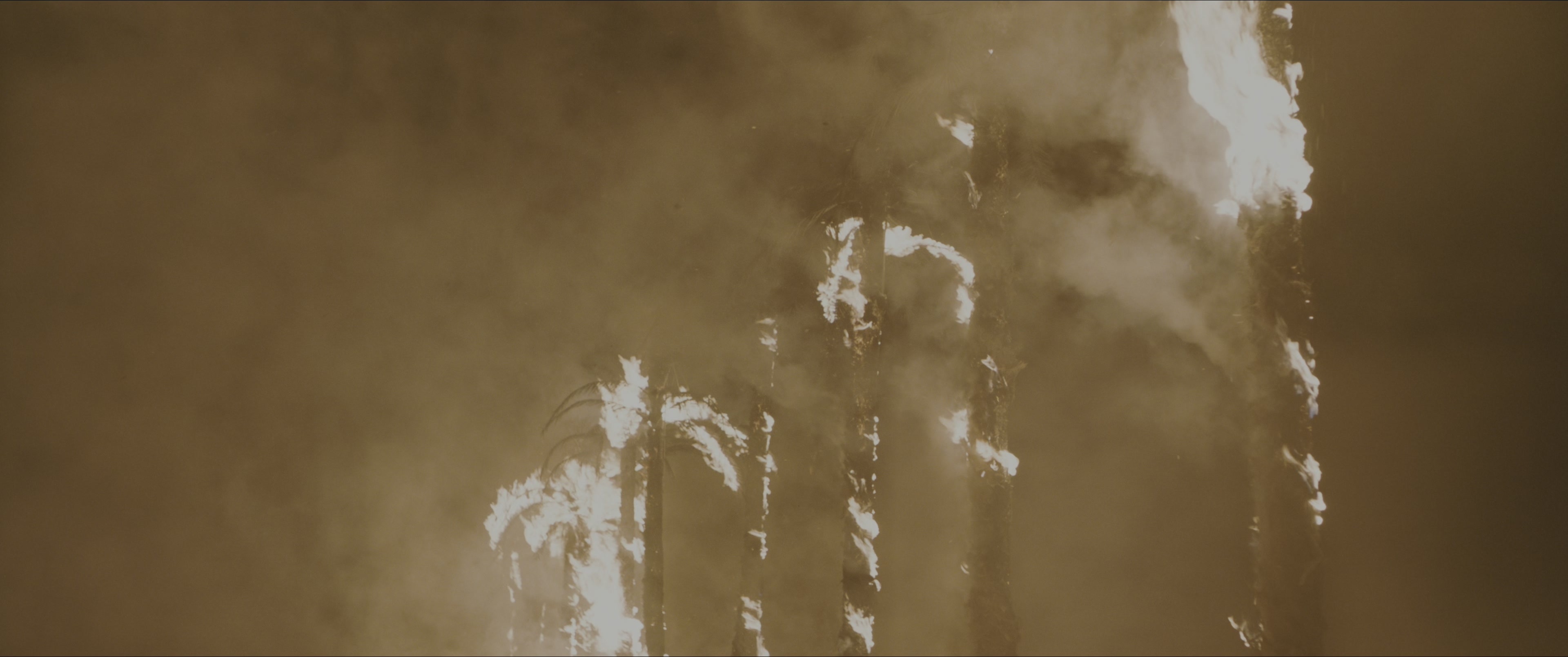 Dune: Part One (2021), wide, 2.39:1 — film still