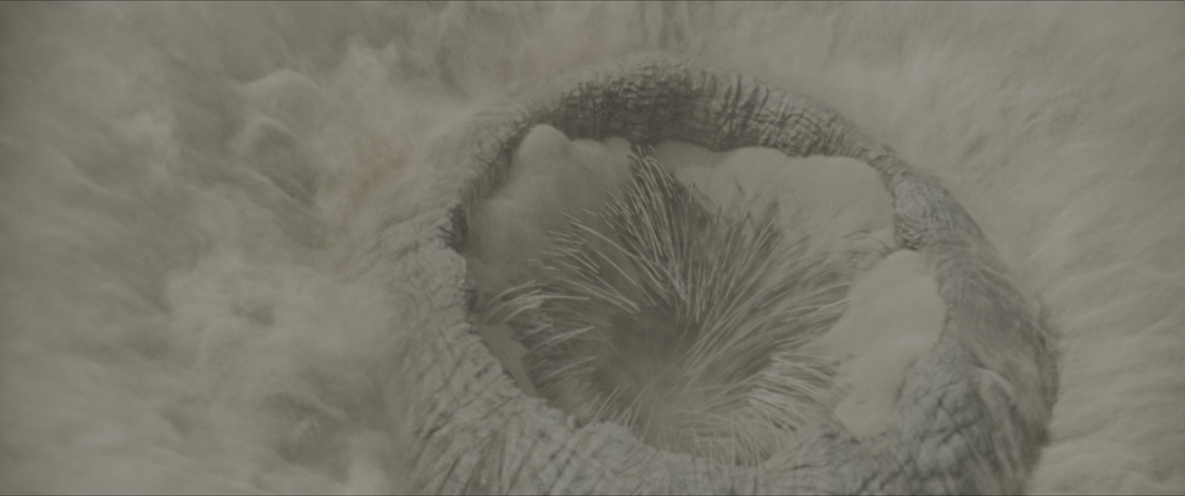 Dune: Part One (2021), wide, 2.39:1 — film still
