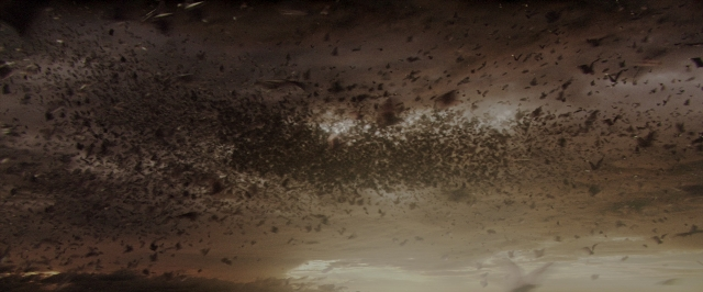Wide shot frame from Batman Begins — water, bird
