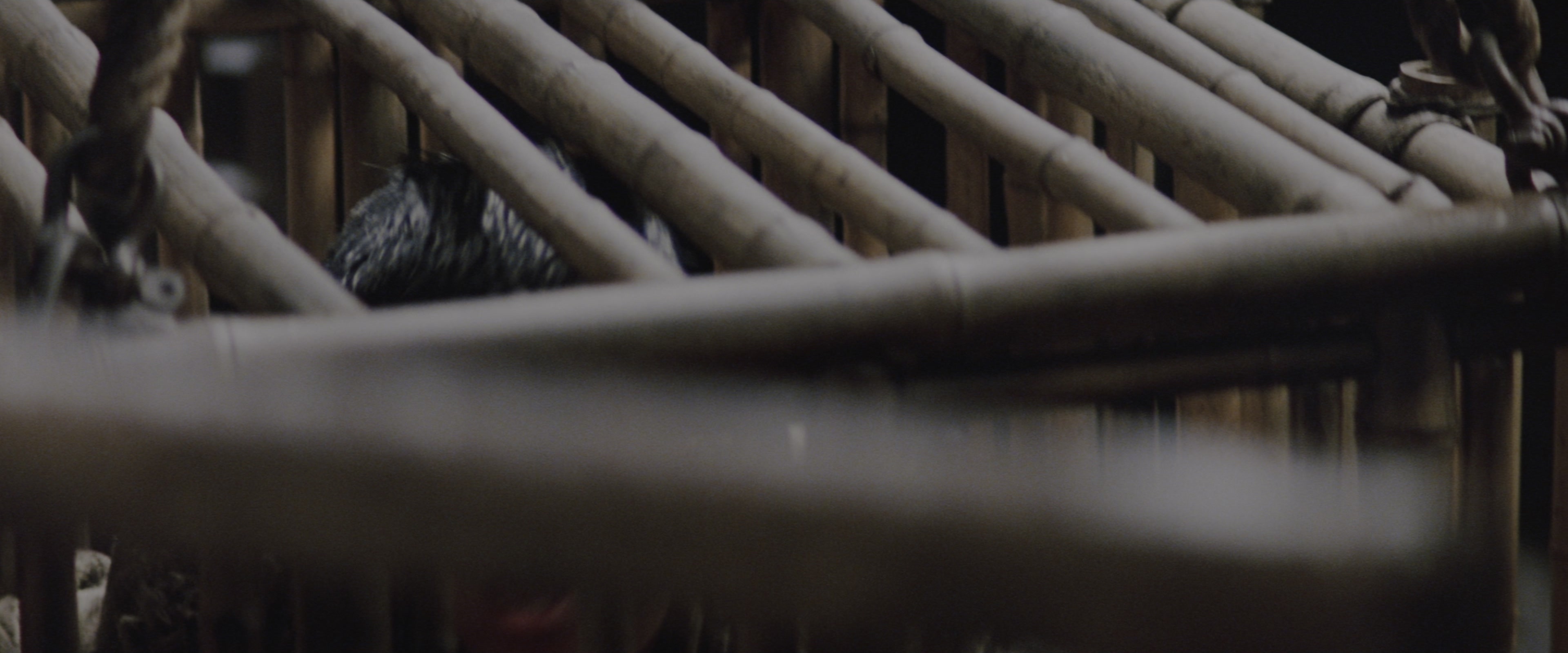 Batman Begins (2005), unknown, 2.40:1 — film still