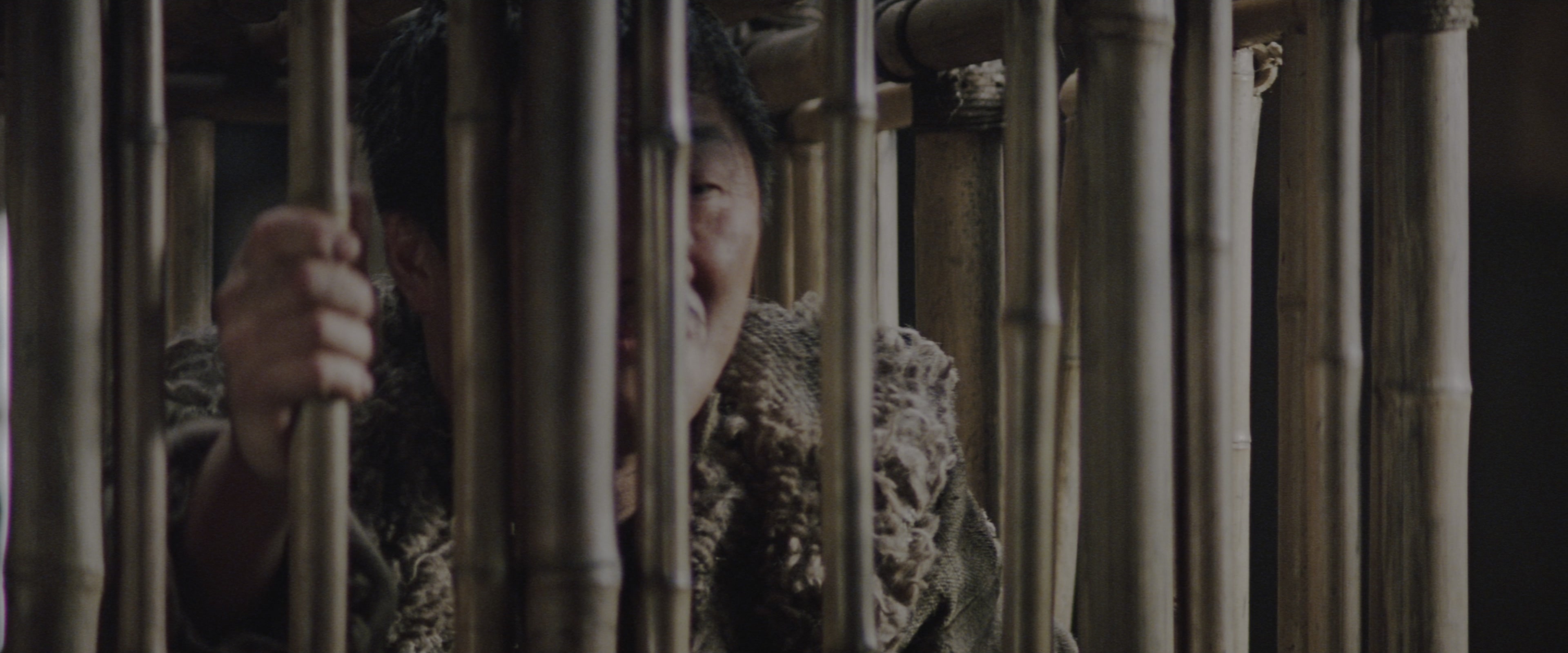 Batman Begins (2005), wide, 2.40:1 — film still