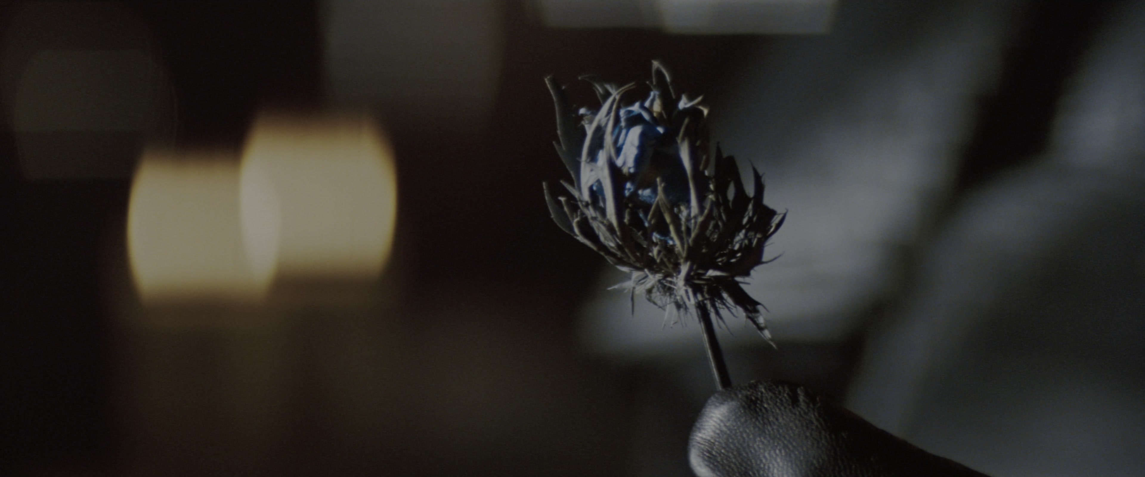 Batman Begins (2005), wide, 2.40:1 — film still