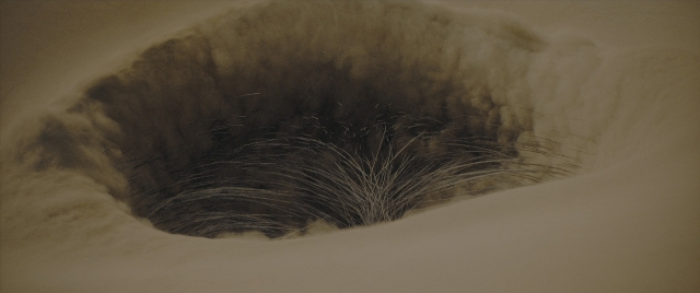 seria-142643.jpg