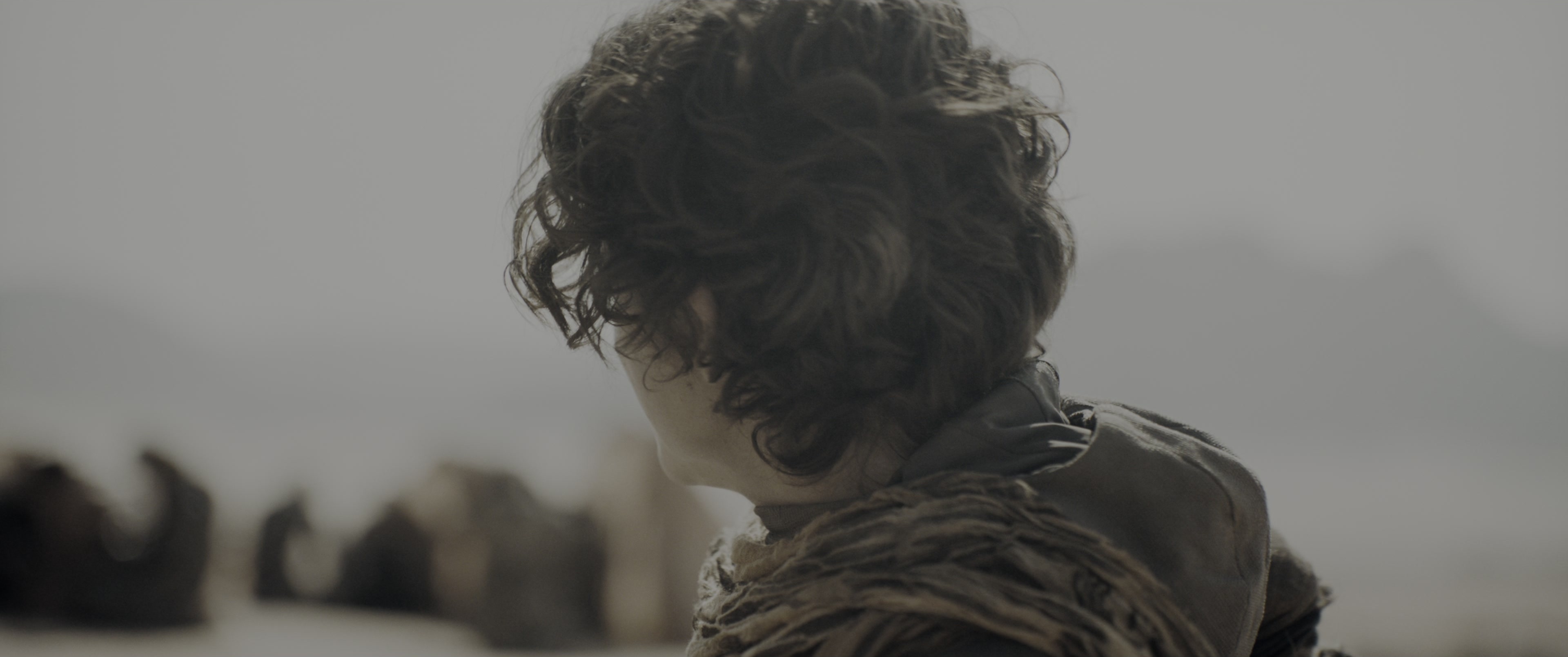 Dune: Part Two (2024), wide, 2.39:1 — film still