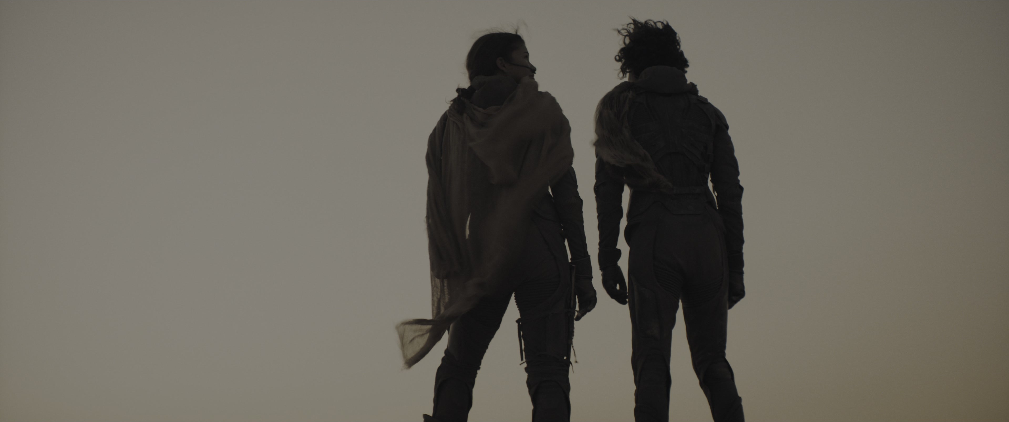 Dune: Part Two (2024), wide, 2.39:1 — film still