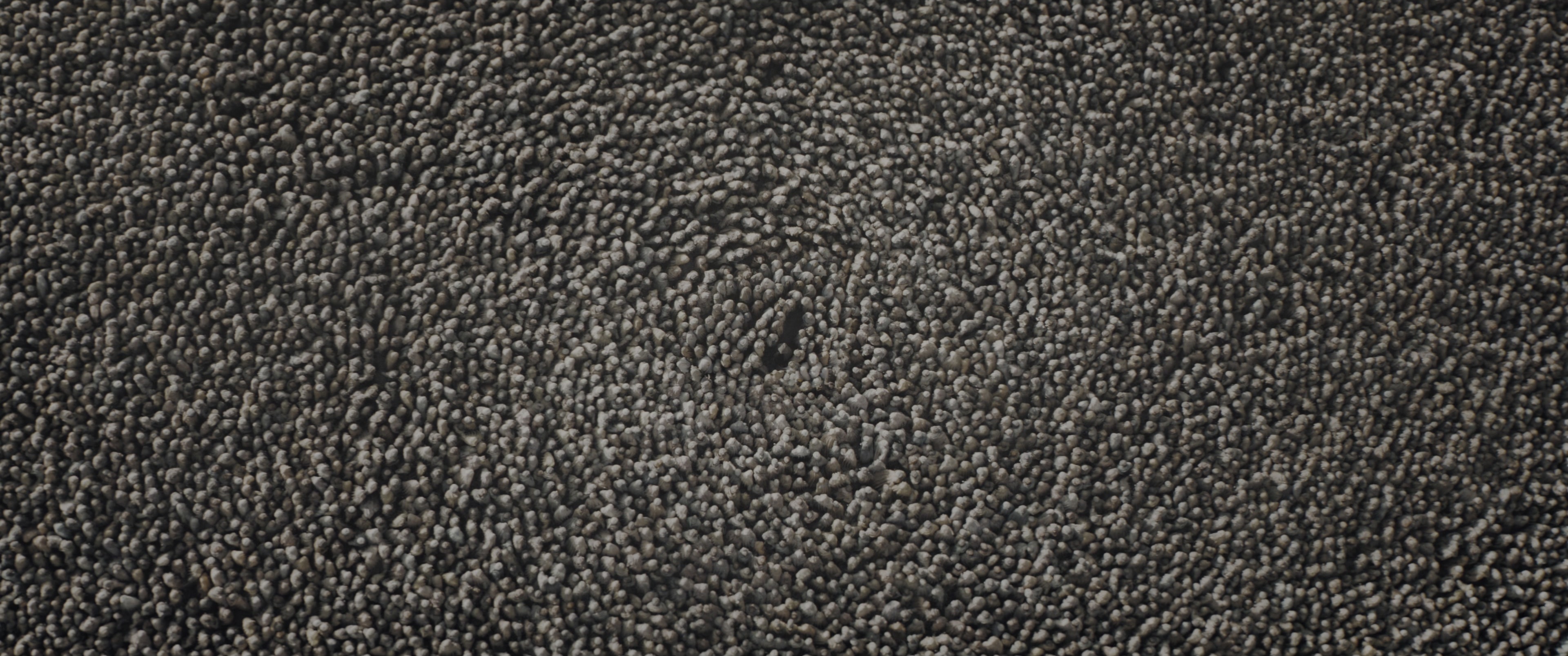 Dune: Part Two (2024), wide, 2.39:1 — film still