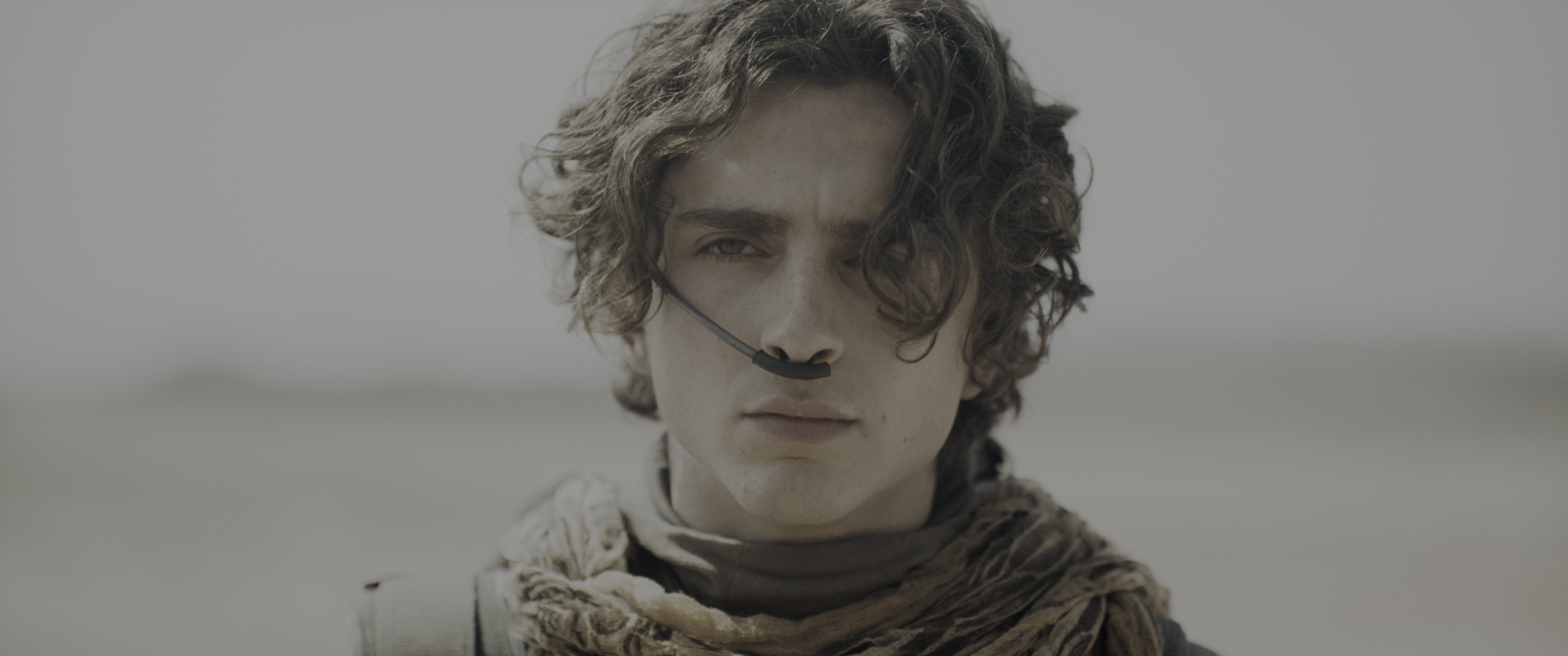 Dune: Part Two (2024), medium, 2.39:1 — film still