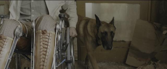 seria-337083.jpg