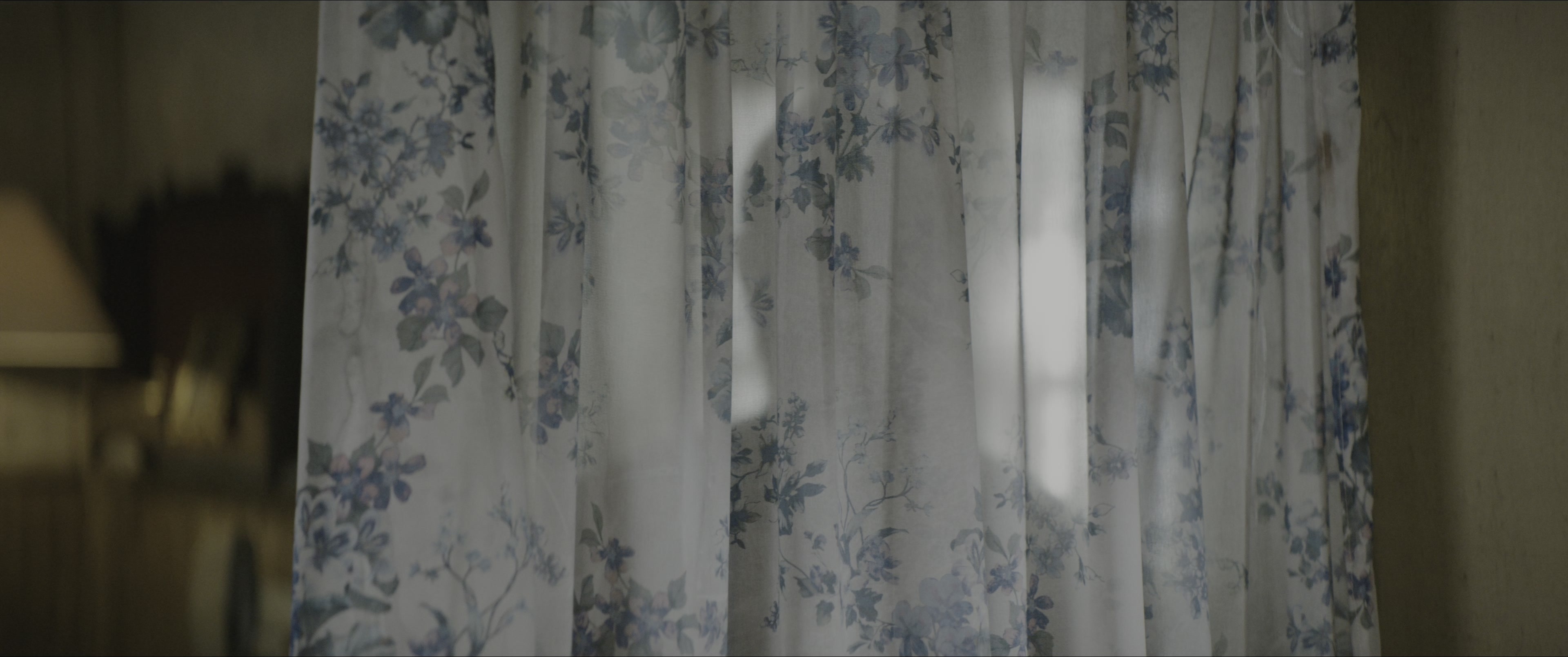 Dogman (2023), wide, 2.39:1 — film still