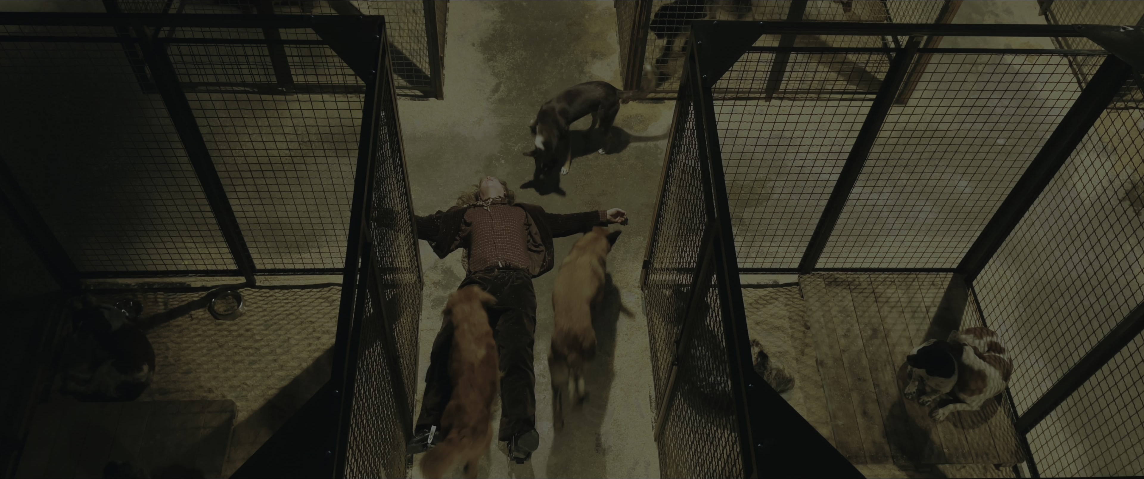Dogman (2023), wide, 2.39:1 — film still
