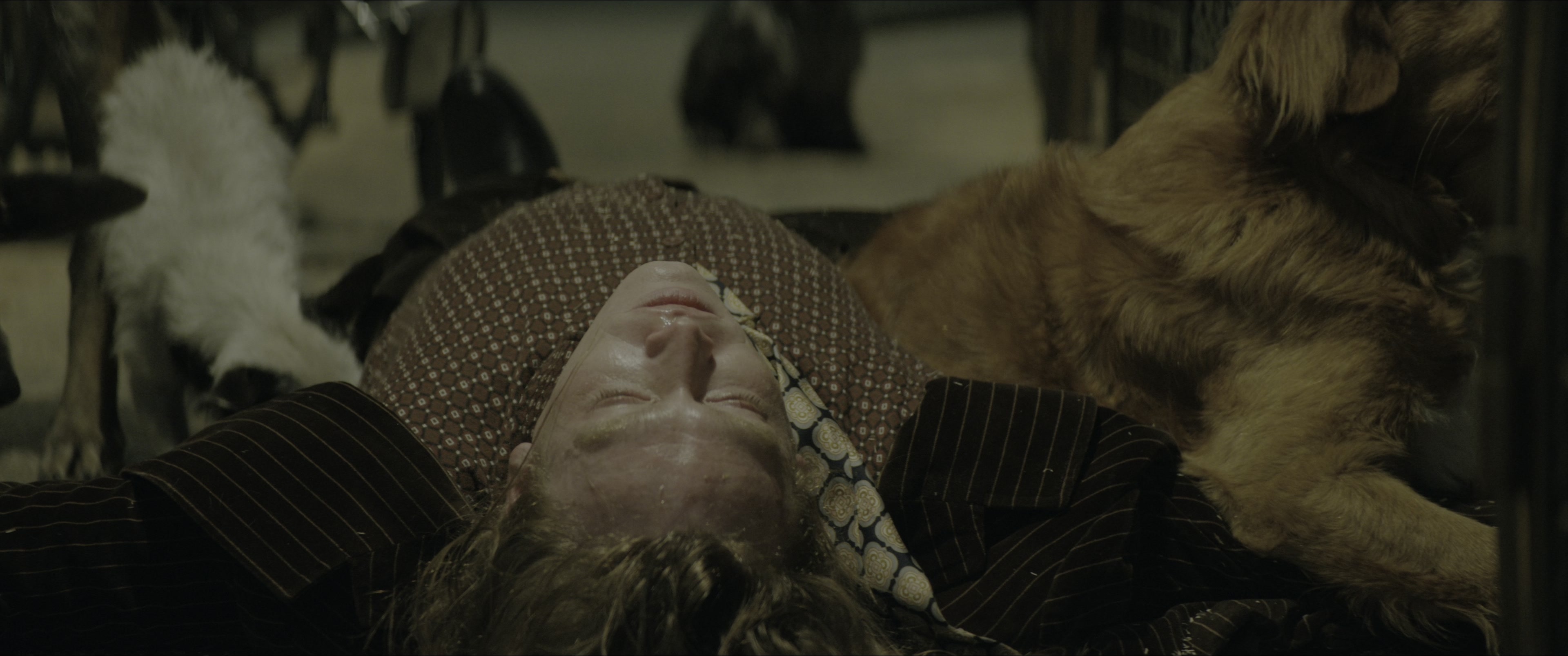 Dogman (2023), wide, 2.39:1 — film still