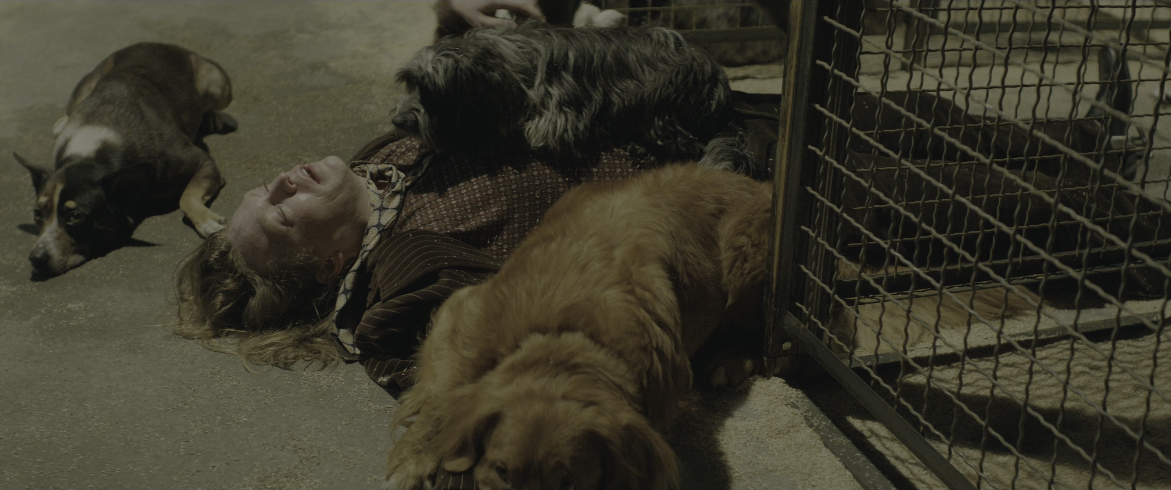 Dogman (2023), wide, 2.39:1 — film still
