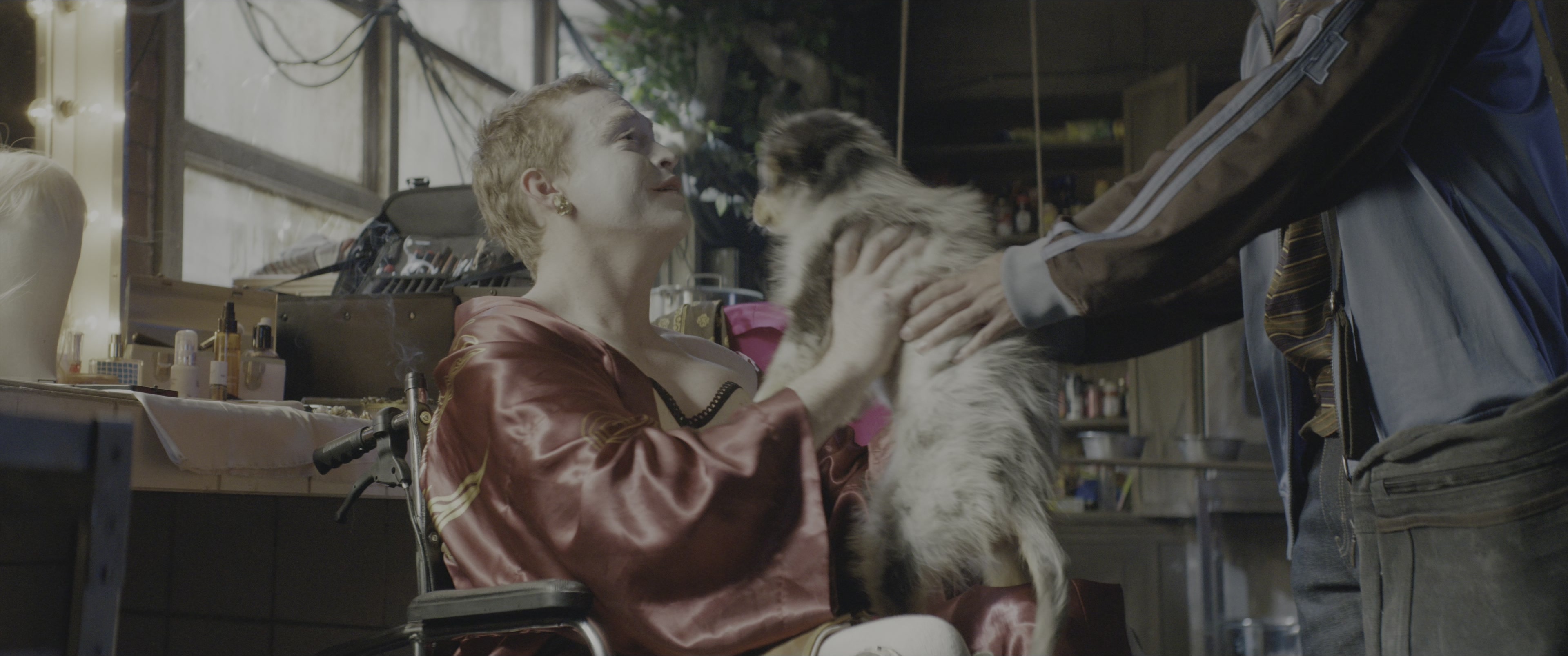 Dogman (2023), wide, 2.39:1 — film still