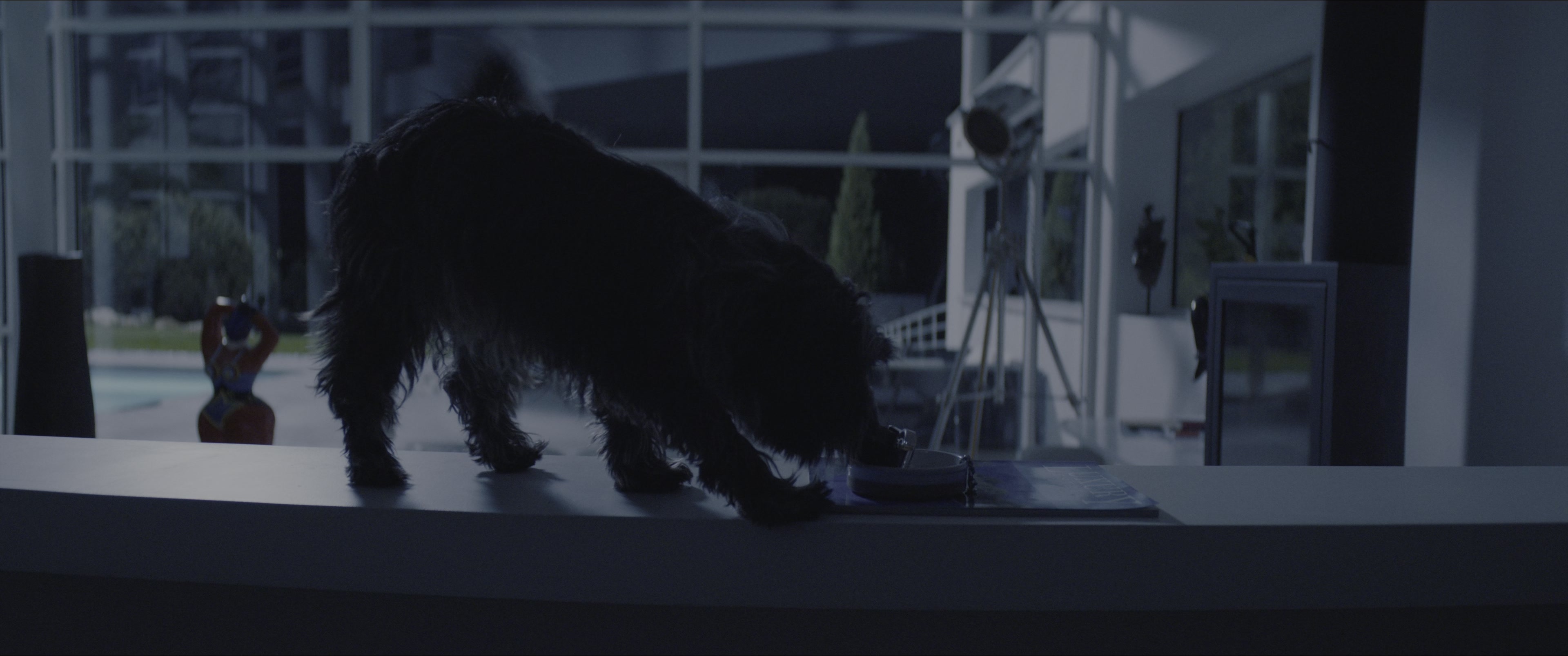 Dogman (2023), wide, 2.39:1 — film still