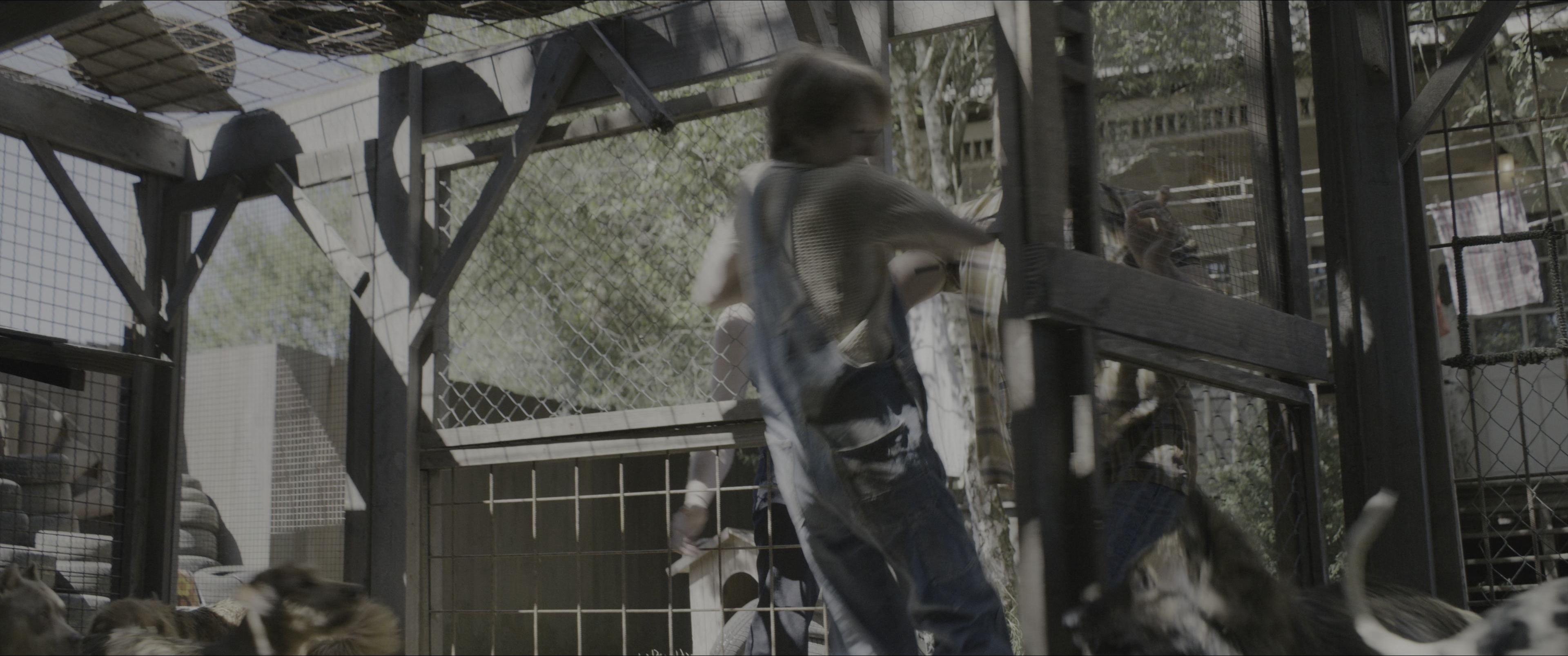 Dogman (2023), wide, 2.39:1 — film still